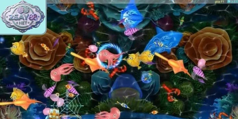 Phản hồi những thắc mắc về chiến thuật săn cá