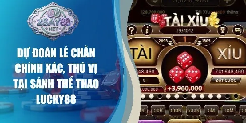 Mẹo Chơi Tài Xỉu Say88 Dễ Thắng Tăng Tỷ Lệ Lợi Nhuận Cao