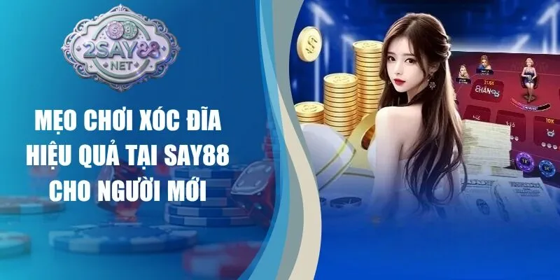 Mẹo Chơi Xóc Đĩa Hiệu Quả Tại Say88 Cho Người Mới